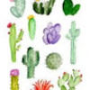 cactusqueen5678